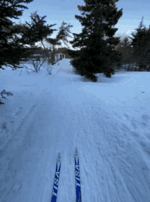 Skiing Cross GIF