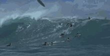The Pipe GIF - Blue Crush Drama Surfing GIFs