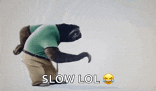 a cartoon sloth wearing a green shirt and pants with the words slow lol below it