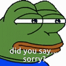 a green frog with the words did you say sorry written below it