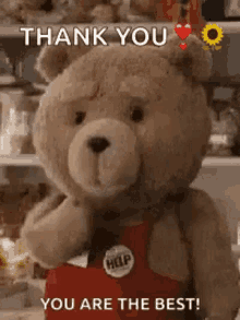 you are the best ted