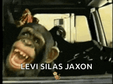 a chimpanzee is sitting in a car with the words levi silas jaxon above it