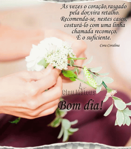 Bom Dia Good Morning GIF - Bom Dia Good Morning Quotes - Discover & Share  GIFs