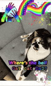 a cat laying on a couch with the words " where 's the ball gay cat dad " below it