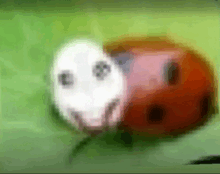 a ladybug with a smiley face on its face