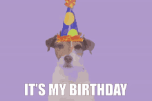 Birthday Comedy Gif - Colaboratory