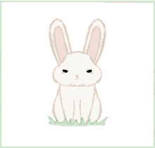 Bunny Commission GIF