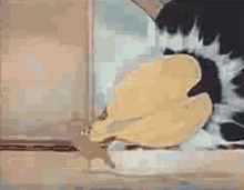 Tom And Jerry Catch GIF
