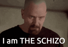 I Am The Schizo Walter White GIF - I Am The Schizo Walter White GIFs