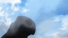 a person is standing in front of a blue sky with clouds in it .
