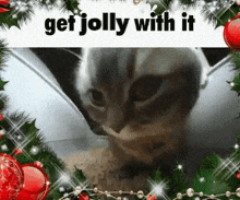 Get Jiggy With It Cat GIF
