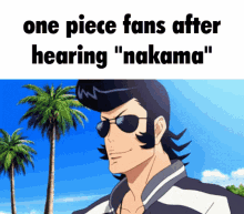 One Piece One Piece Fans GIF - One Piece One Piece Fans Nakama GIFs
