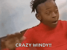 Wind Blowing GIF - Wind Blowing High GIFs