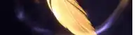 a feather is glowing in the dark with a purple glow behind it .