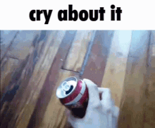 Cry About It Can GIF - Cry About It Can Alantutorial GIFs