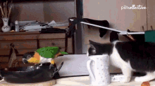Attack Fighting GIF - Attack Fighting Angry GIFs