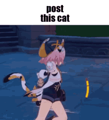 Post This Cat Cat GIF