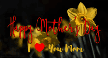 Mother Happy GIF - Mother Happy Mommy GIFs