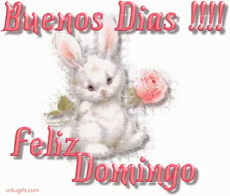 Buen domingo картинки