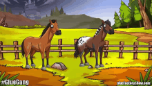 Horse Poop Glue Factory Show GIF
