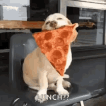 Doggy Pizza GIF - Doggy Pizza Food GIFs