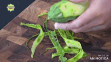 a person is peeling a green vegetable on a wooden cutting board made in animonica