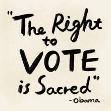 The Right To Vote Is Sacred Vote GIF - The Right To Vote Is Sacred Right To Vote Vote GIFs