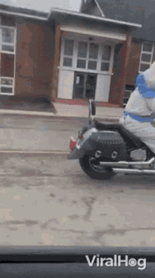 bunny viralhog driving motorcycle easter