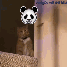 Panda Pew GIF - Panda Pew GIFs