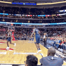 New Orleans GIF - New Orleans Pelicans GIFs