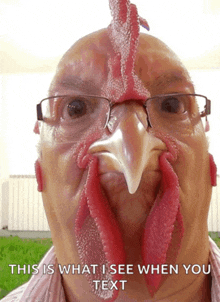 a man with glasses and a chicken mask on his face