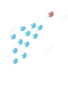 downsign twitter followers bird twitter tweet