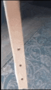 a close up of a piece of wood with holes in it on a rug .