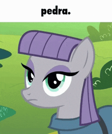 a picture of a pony with the word pedra on it
