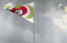 Oel Flag GIF - Oel Flag Windy GIFs
