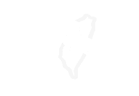 a white line drawing of a tree branch on a white background