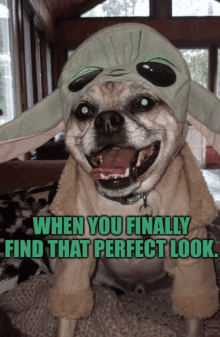 Perfect Look GIF - Perfect Look GIFs
