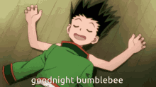 Goodnight Bumblebee GIF - Goodnight Bumblebee GIFs