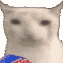 a white cat is crying while holding a bag of candy .