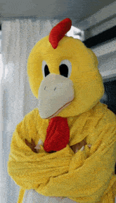 Nova Rockafeller Nova Chicken GIF - Nova Rockafeller Nova Chicken Disappointed Chicken Costume GIFs