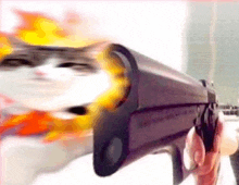 a person is holding a gun with a cat 's face on the barrel .