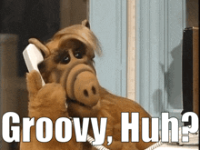 Alf Groovy GIF - Alf Groovy Groovy Huh GIFs
