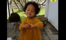 طفلة أطفال رقص روقان دماغ تأمل، تصفيق تشجيع GIF