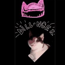 Palais Des Chats Cats Palace GIF - Palais Des Chats Cats Palace Dillinger GIFs