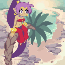 Pixel Art Shantae GIF - Pixel Art Shantae Ocean GIFs
