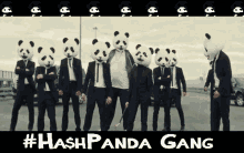 Panda Hash GIF - Panda Hash Hashpanda GIFs