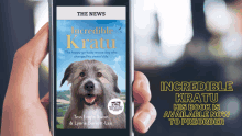 Kratu Incredible Kratu GIF - Kratu Incredible Kratu Book GIFs