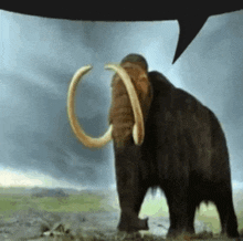 Speech Bubble Mammoth GIF