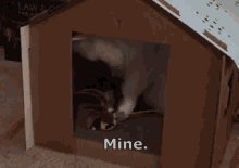 Mine GIF - Selfish Impulse Cat GIFs