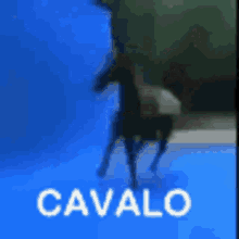 Cavalo Horse GIF - Cavalo Horse Lol What GIFs